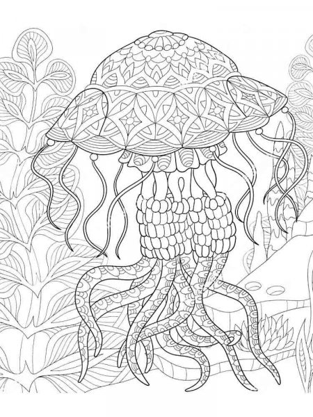 Jellyfish coloring pages for Adults