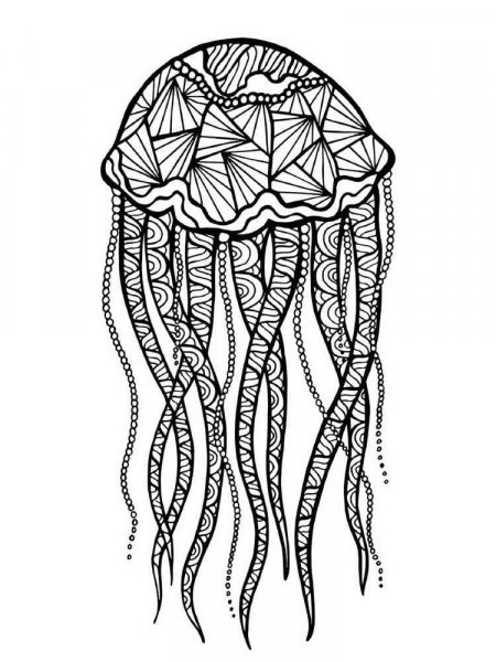 Jellyfish coloring pages for Adults