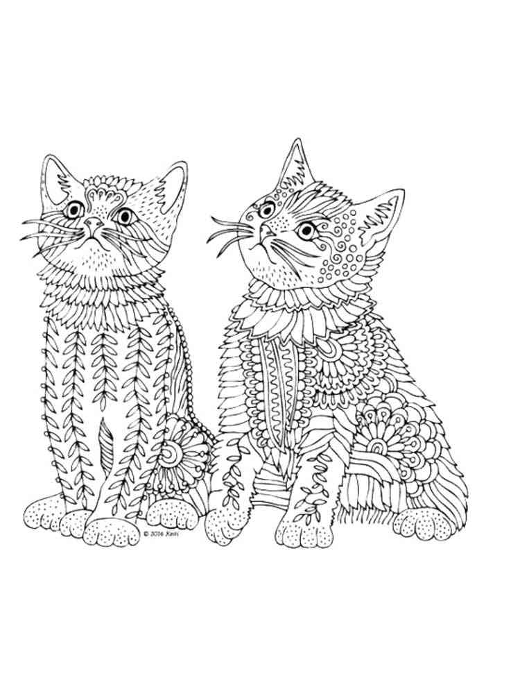 free kitten coloring pages for adults printable to download kitten