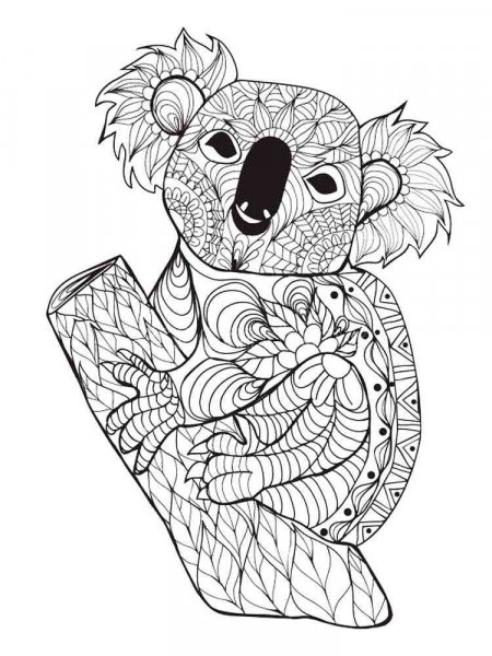 Koala coloring pages for Adults