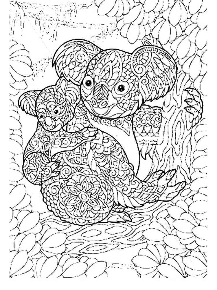 free koala coloring pages for adults printable to