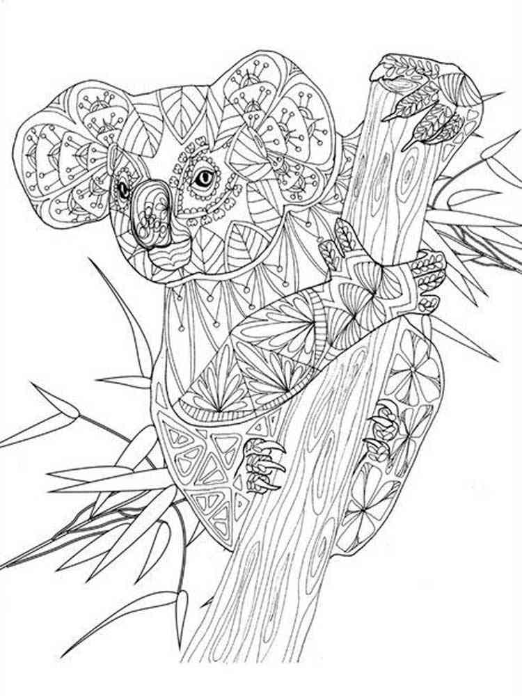 Free Koala coloring pages for Adults. Printable to ...