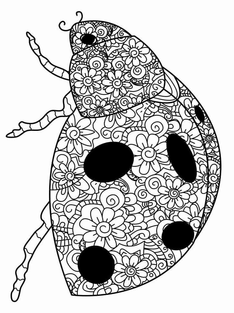 Free Ladybug coloring pages for Adults. Printable to Download Ladybug