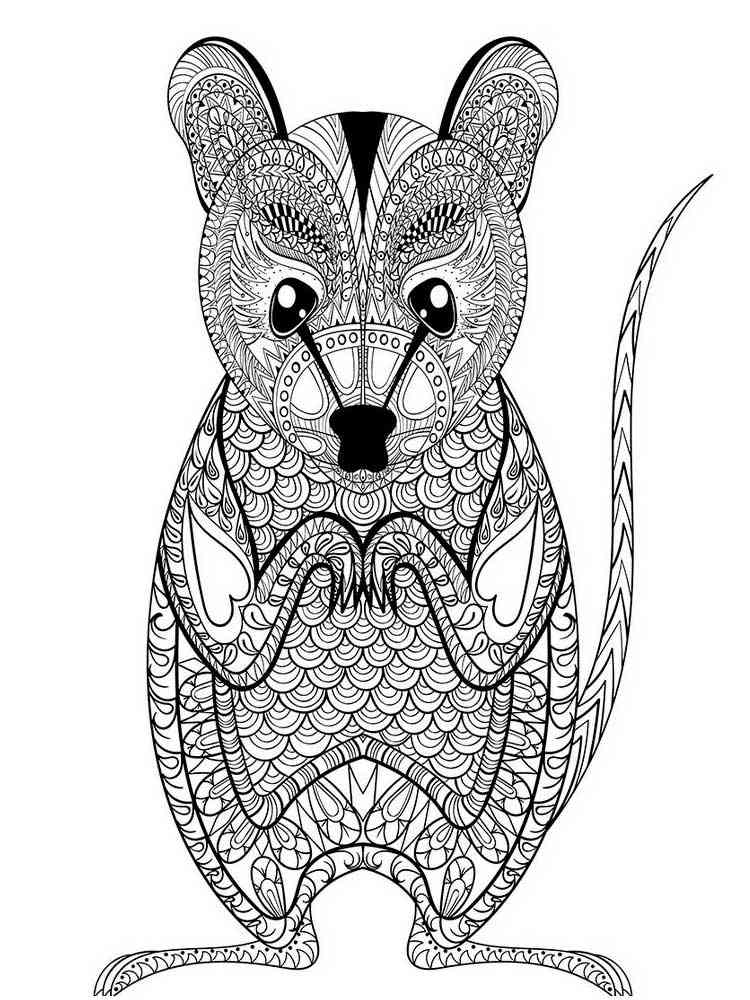 Download Free Mouse coloring pages for Adults. Printable to ...