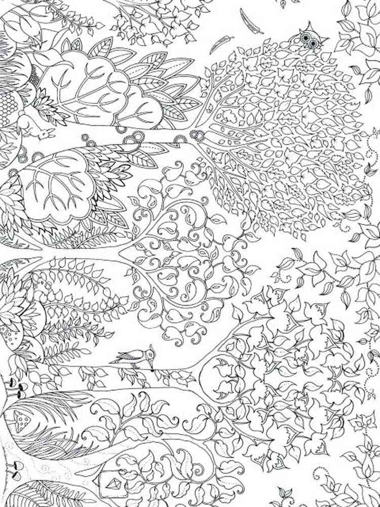 10+ Printable Coloring Pages For Adults Nature PNG - Drawer
