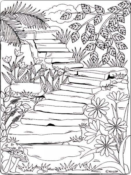 Nature coloring pages for Adults