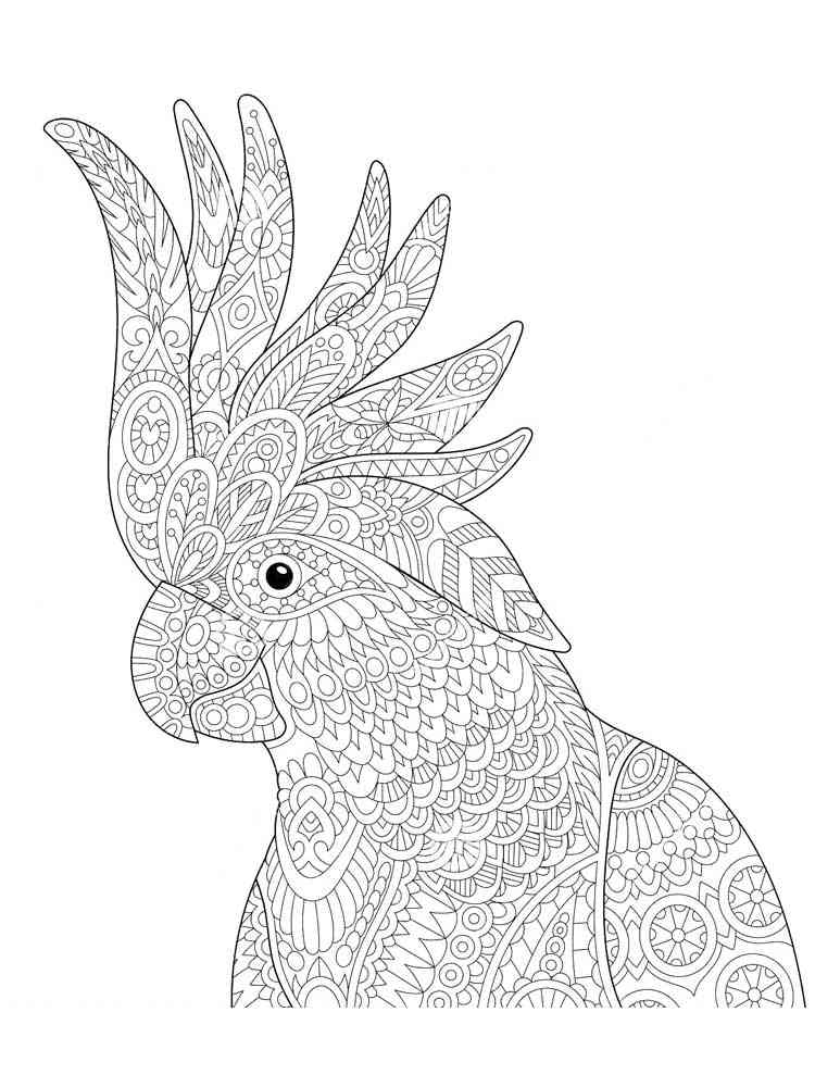 Download Free Parrot coloring pages for Adults. Printable to ...