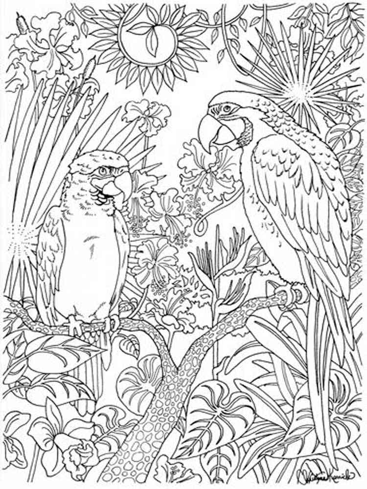 Free Parrot coloring pages for Adults. Printable to Download Easy