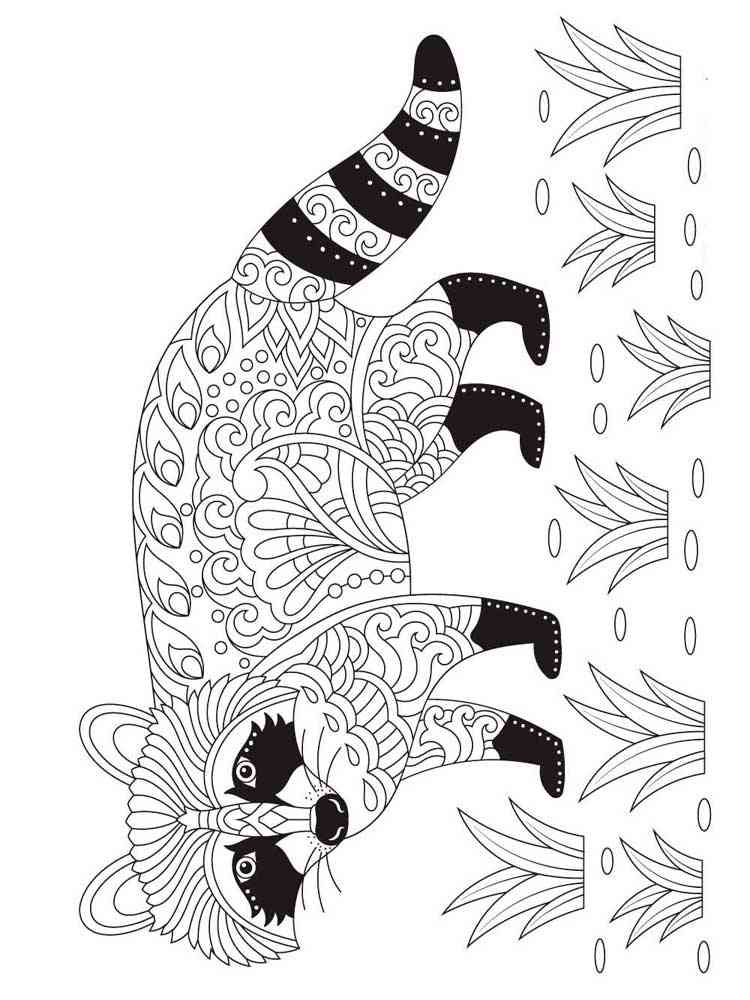 Free Raccoon coloring pages for Adults. Printable to Download Raccoon