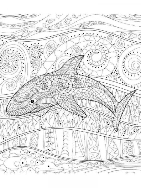 Shark coloring pages for Adults