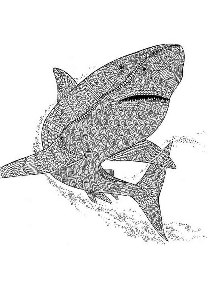 Download Free Shark coloring pages for Adults. Printable to ...