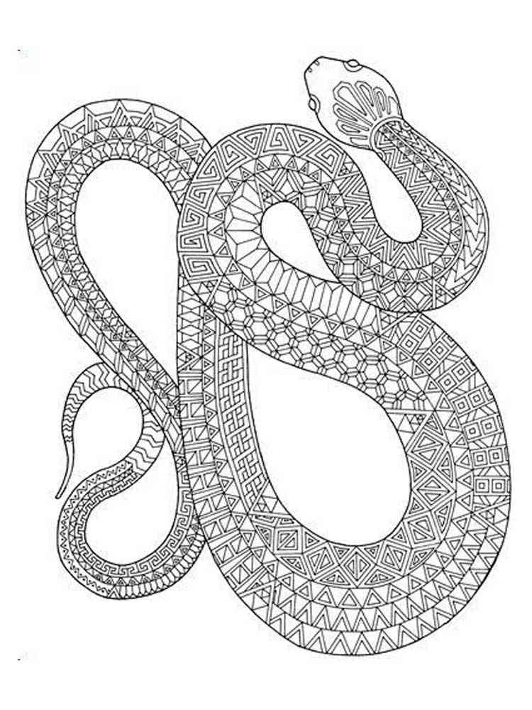 Download Free Snake coloring pages for Adults. Printable to ...