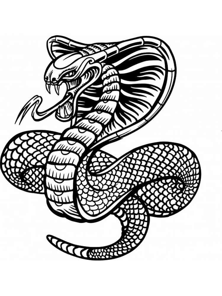 Free Snake coloring pages for Adults. Printable to