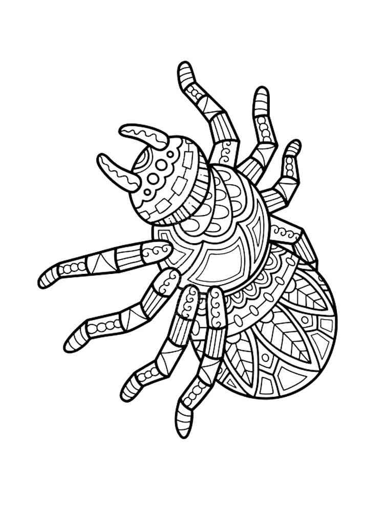 Free Coloring Pages Of Spiders