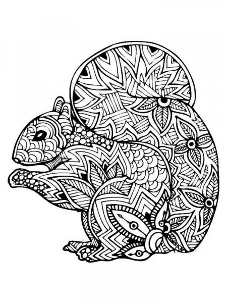 Squirrel coloring pages for Adults