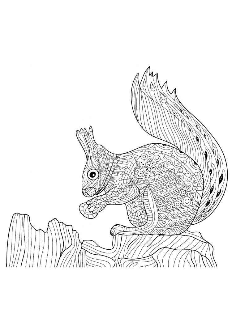 Free Squirrel coloring pages for Adults. Printable to ...