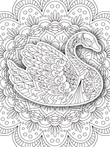 Zentangle Swan Coloring Pages 1