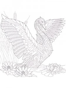 Zentangle Swan Coloring Pages 5
