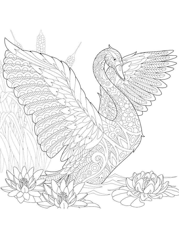 Free Swan coloring pages for Adults. Printable to Download ...
