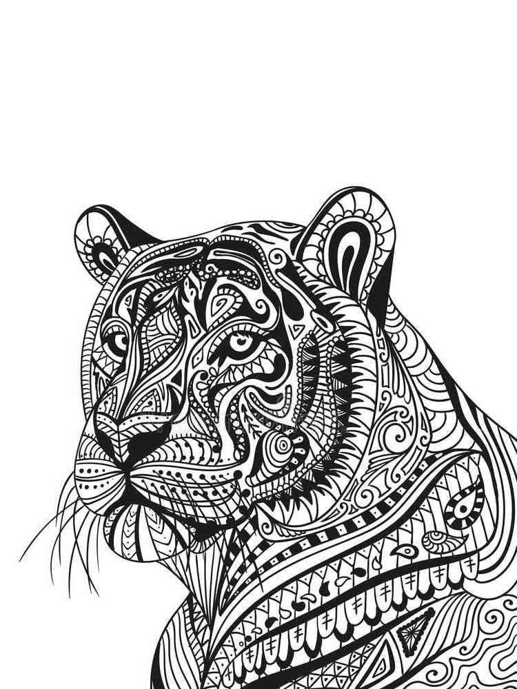 free tiger coloring pages for adults printable to