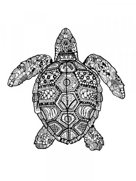 Turtle coloring pages for Adults