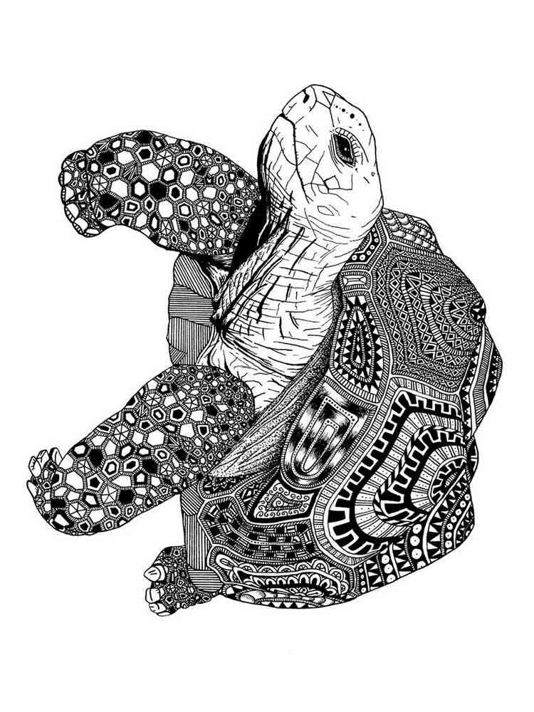 free turtle coloring pages for adults printable to download
