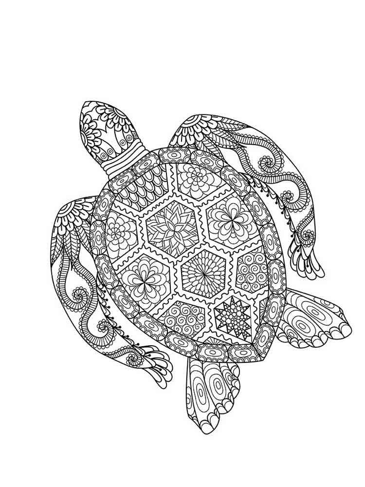 Animal Coloring Pages For Adults Turtle - 262+ File for DIY T-shirt