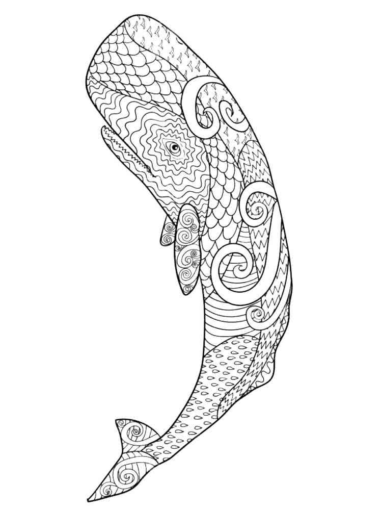 Free Whale coloring pages for Adults. Printable to Download Whale