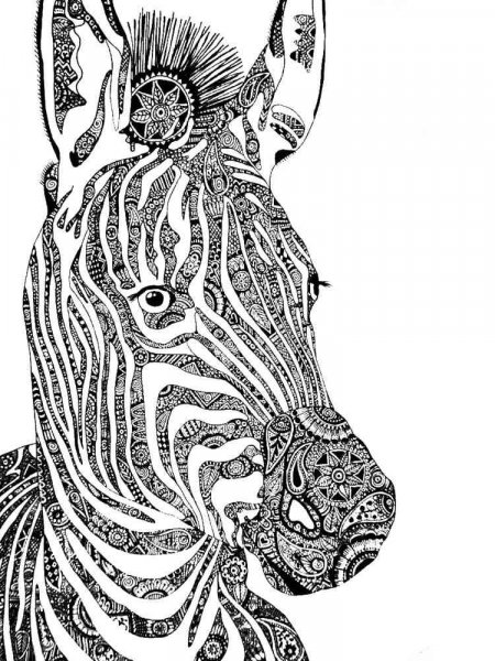 Zebra coloring pages for Adults