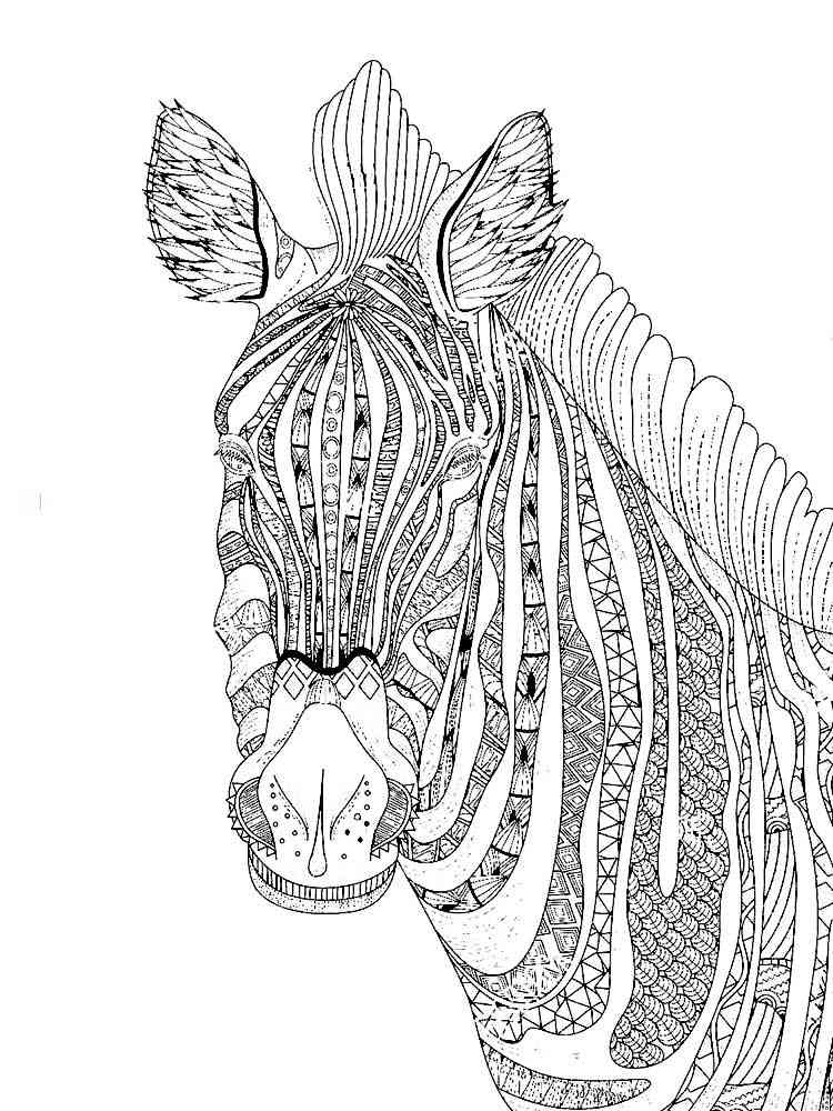 Free Zebra coloring pages for Adults. Printable to Download Zebra