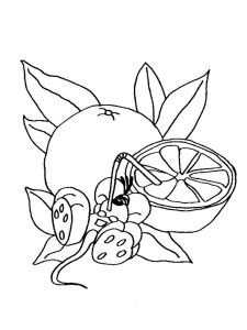 Diddl coloring page 21 - Free printable