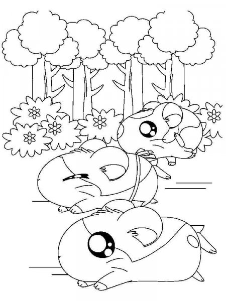 Hamtaro coloring pages