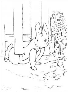 Peter Rabbit coloring page 8 - Free printable