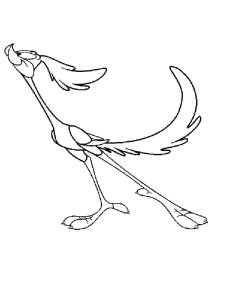 Road Runner coloring page 2 - Free printable