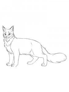 Warrior Cats coloring page 21 - Free printable
