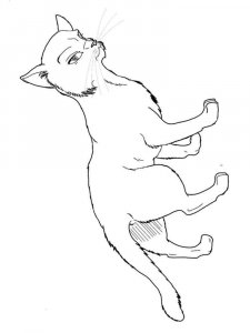 Warrior Cats coloring page 4 - Free printable