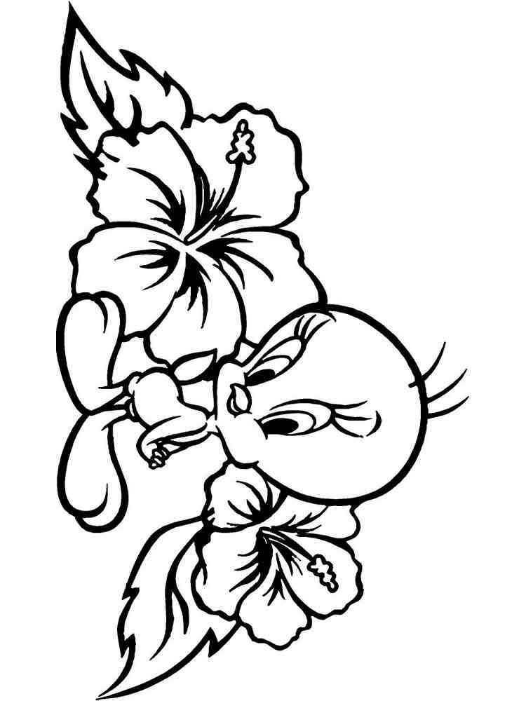 Cute Tweety Bird coloring pages. Free Printable Cute Tweety Bird