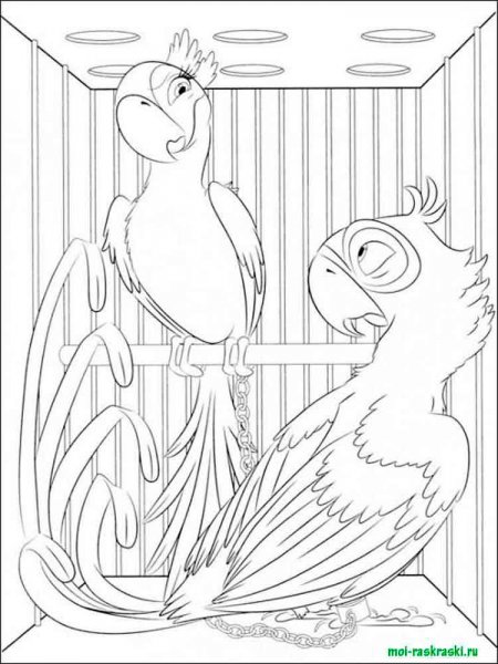 Rio and Rio 2 coloring pages