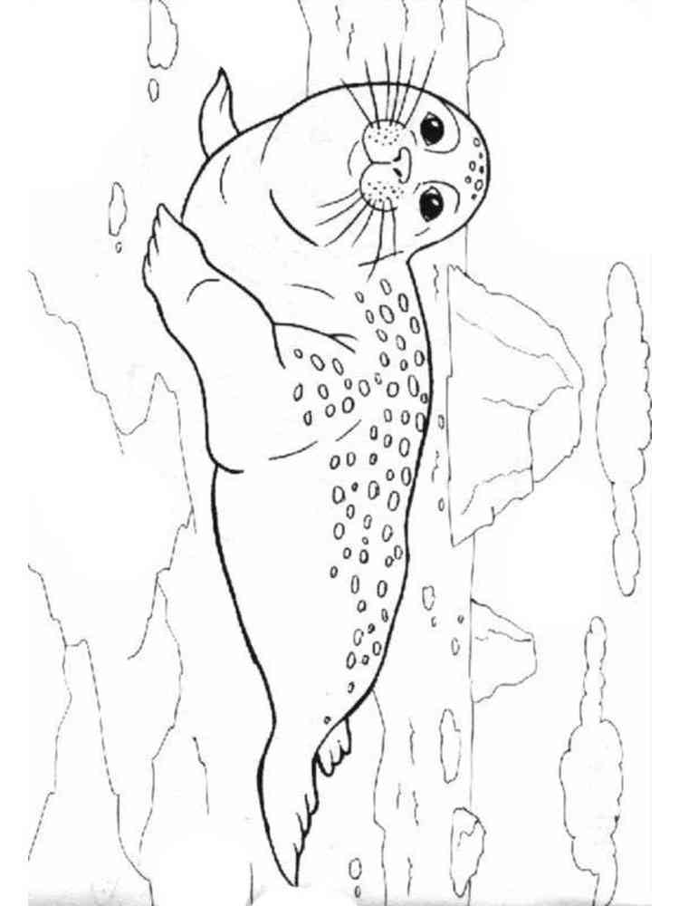 Antarctica coloring pages. Download and print Antarctica coloring pages