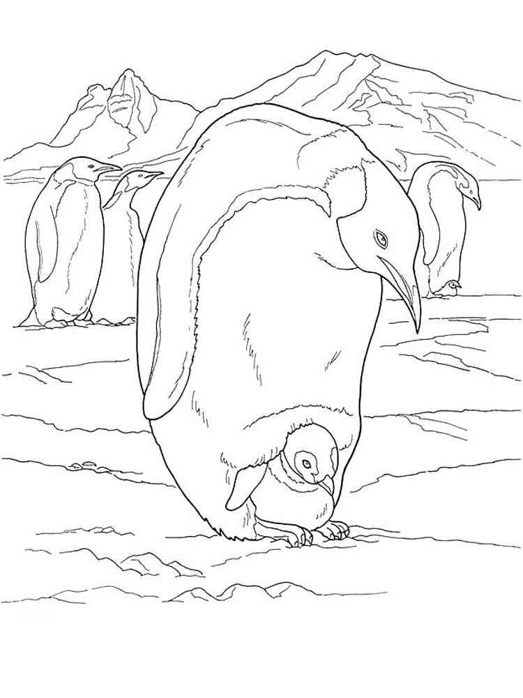 23+ Antarctica Coloring Pages - AtillaChyrsten