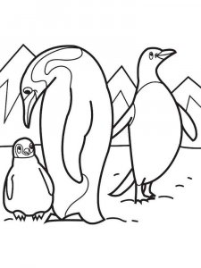 Antarctica Coloring Pages 3