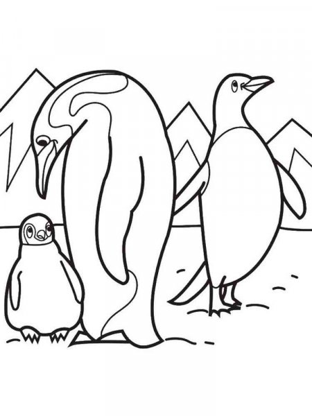 Antarctica coloring pages