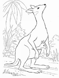 Australia coloring page 14 - Free printable