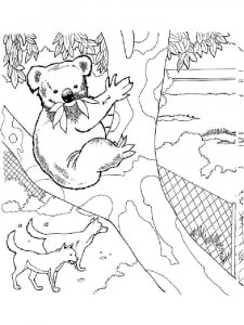 Australia coloring page 16 - Free printable