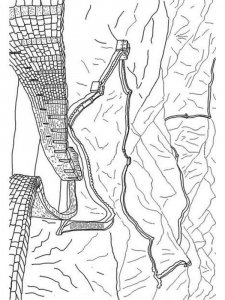 China Coloring Pages 15