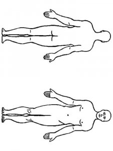 Human body coloring page 8 - Free printable