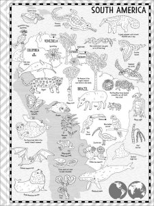 Map coloring page 10 - Free printable