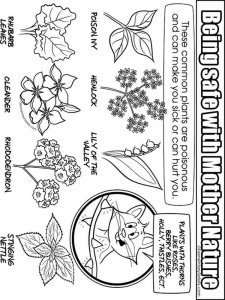 Mother nature safety coloring page 8 - Free printable