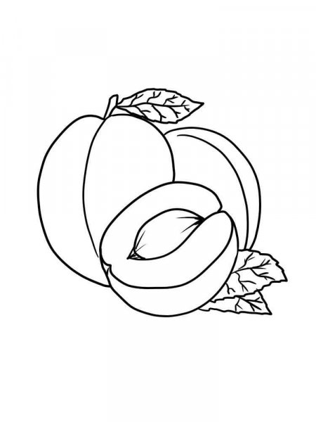 Apricot coloring pages