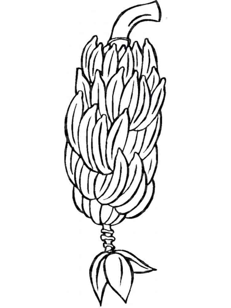 Banana coloring pages Download and print Banana coloring